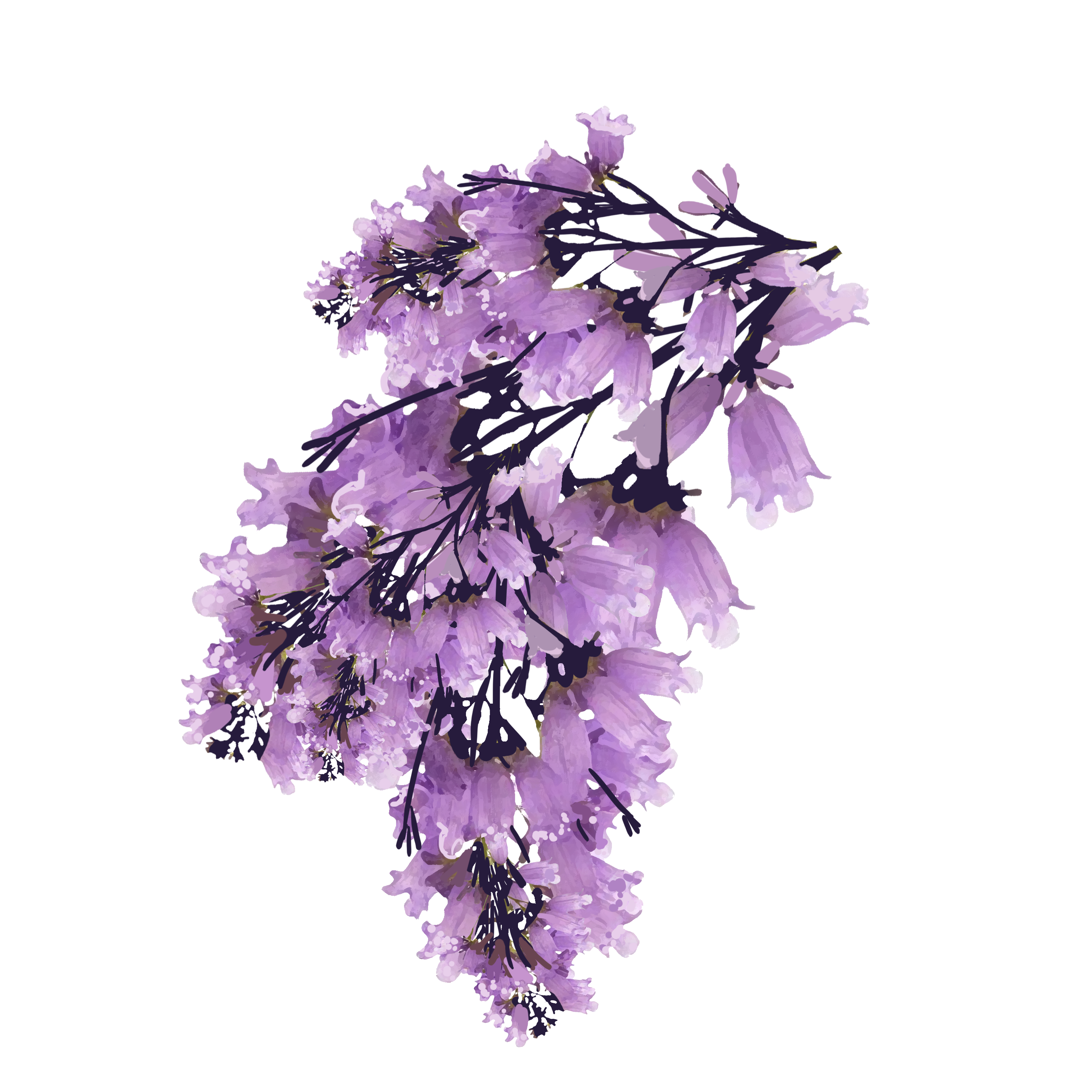 sritrang.png