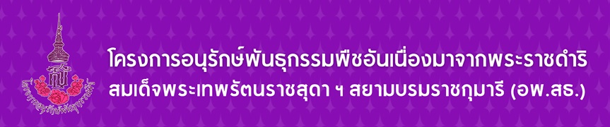 project-rspg